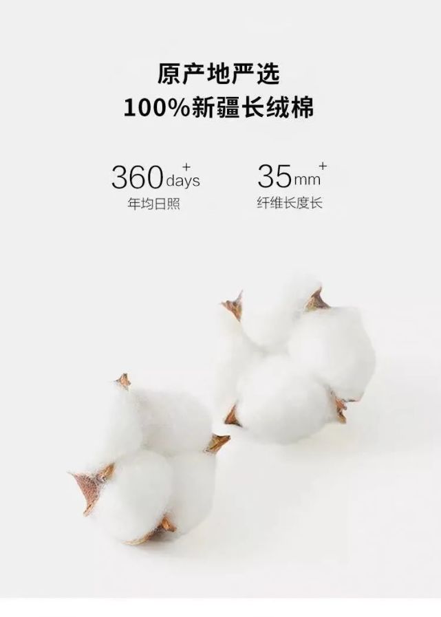 "新疆长绒棉",不应该用这样的方式被了解!