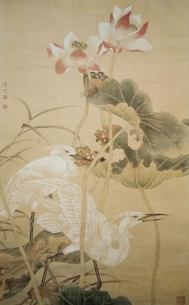 陈之佛的花鸟代表作图片