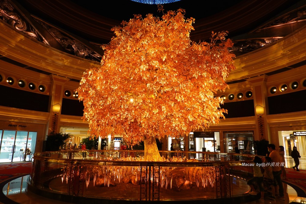 澳门最著名的酒店表演耗资超过2亿元免费对游客开放