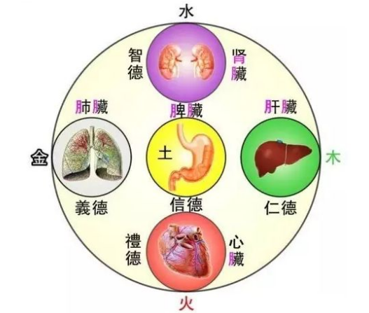 019倪海廈人紀系列黃帝內經篇