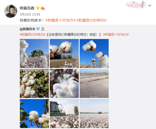 迪丽热巴玛尔扎哈古力娜扎是什么梗 佟丽娅 古力娜扎等新疆明星支持新疆棉花 只有迪丽热巴保持沉默