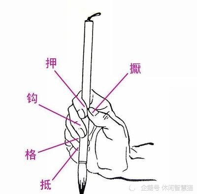 书法学习之腕法