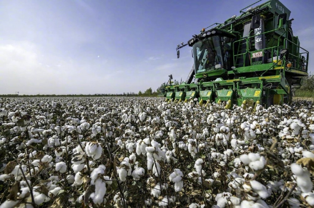 hm抵制新疆棉国内都不够用这些家居好物的原料都是新疆棉