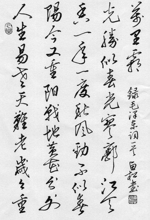 王惠松的硬笔书法真精致,温润平和,获首届国际硬笔书法特等奖