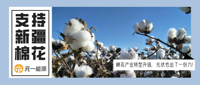 新百伦,巴宝莉等国际品牌在内的bci成员均曾经发表过与新疆棉花"切割"