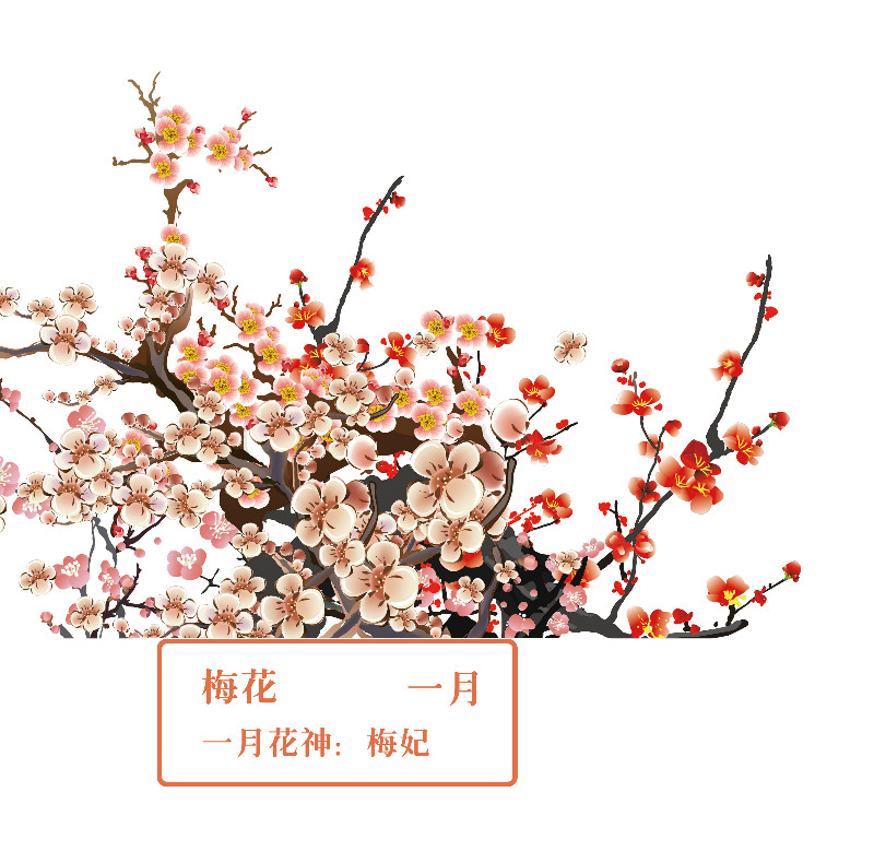 你好 花博 你知道十二花神吗 腾讯新闻