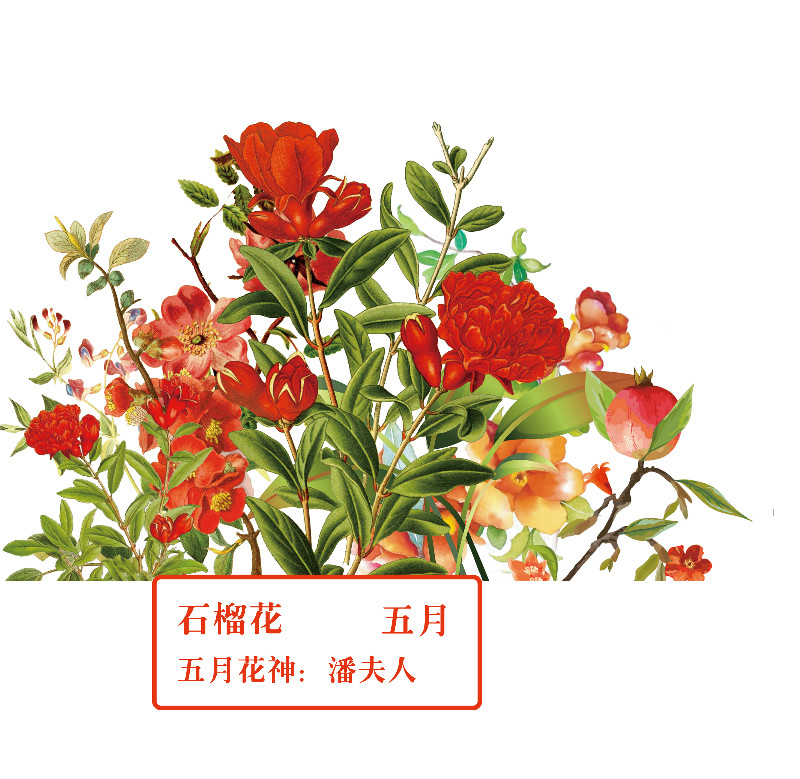 你好 花博 你知道十二花神吗 腾讯新闻