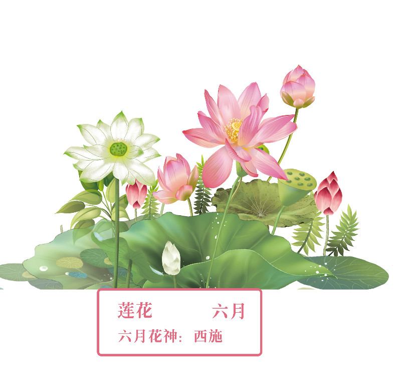 你好 花博 你知道十二花神吗 腾讯新闻