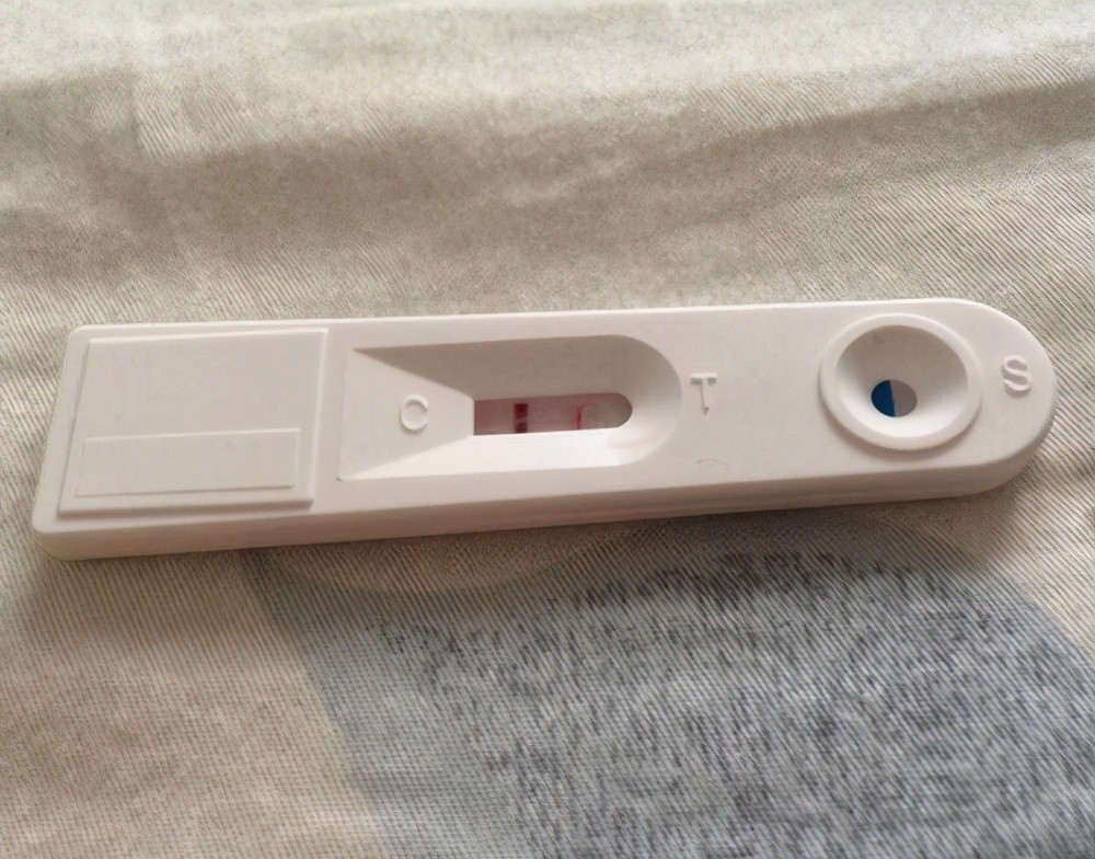 杜淳妻子分享备孕过程,备孕速度惹人羡慕,备孕夫妻要注意这3点