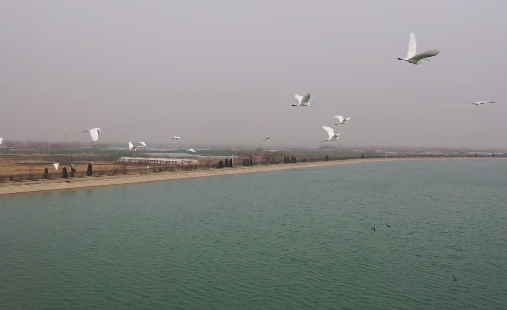 沧州南皮大浪淀波光粼粼迎候鸟