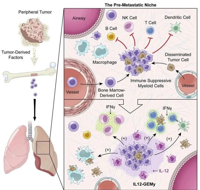 是你把癌细胞引到这来的今日细胞策反内奸成功预防癌症转移
