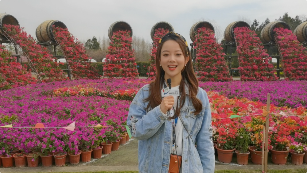 我是崇明小姐姐陈宇雯,2021年中国第十届花博会要