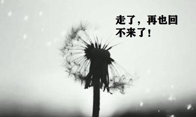 总有一些遗憾此生难忘本来可控却遗憾一生