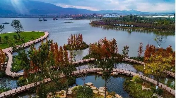 云南省泸西县湿地公园图片