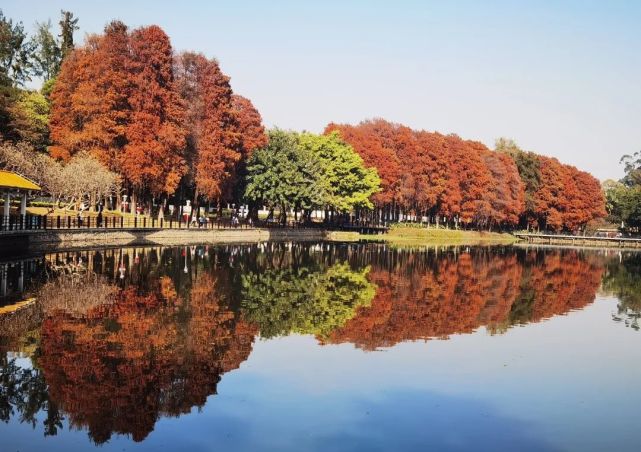 廣州6個最適合春遊的公園免費又好玩