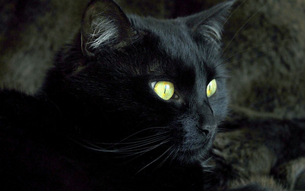 埃及金字塔难道只是法老的陵墓吗?