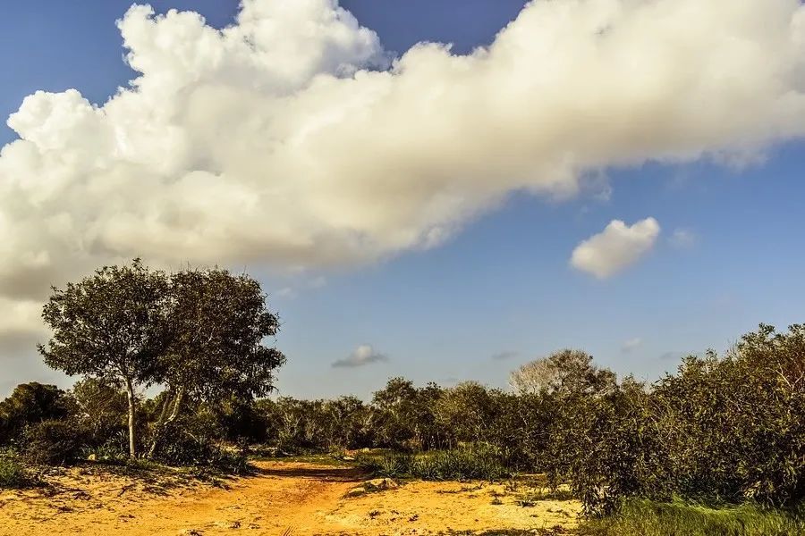 十二星座每日星座运势查询3月26日 黑榜 腾讯新闻