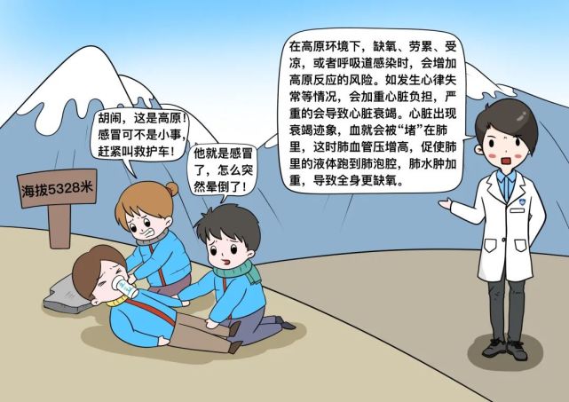 健康辟谣日历|高原反应|感冒|拉萨|氧气|高原