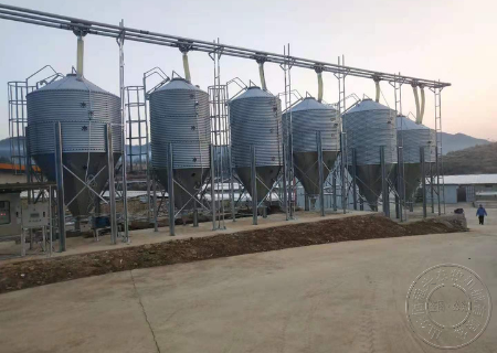 自动化供料系统给猪场带来哪些利得?|猪场|饲料|母猪|疫病