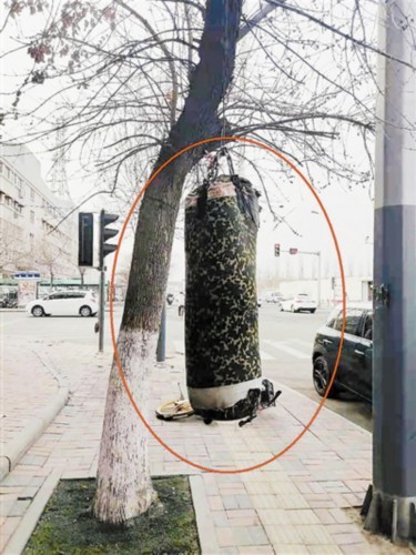 树上吊沙袋 如此锻炼不文明