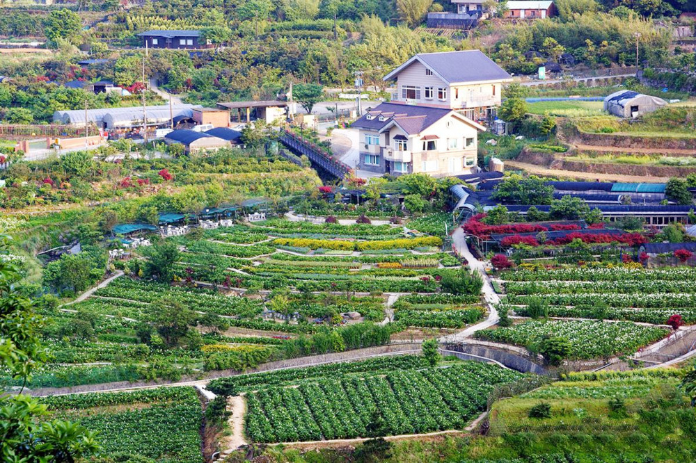 台湾农村真实样貌,与我们相比,很多地方值得学习_腾讯新闻