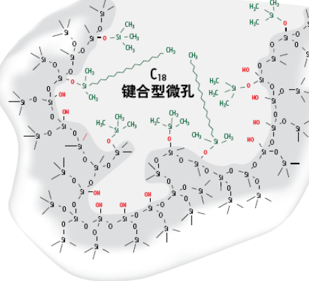 干货丨硅胶键合c18与hlb小柱的性能差异比较