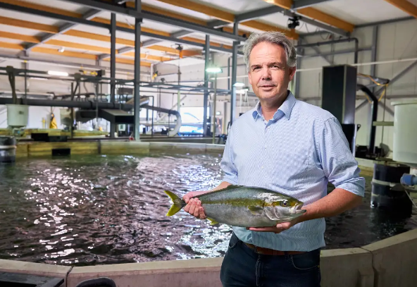 昕诺飞led照明产品助力水产养殖企业转型 腾讯新闻