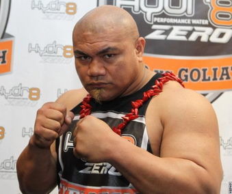 大卫图阿:泰森没有挑战价值!