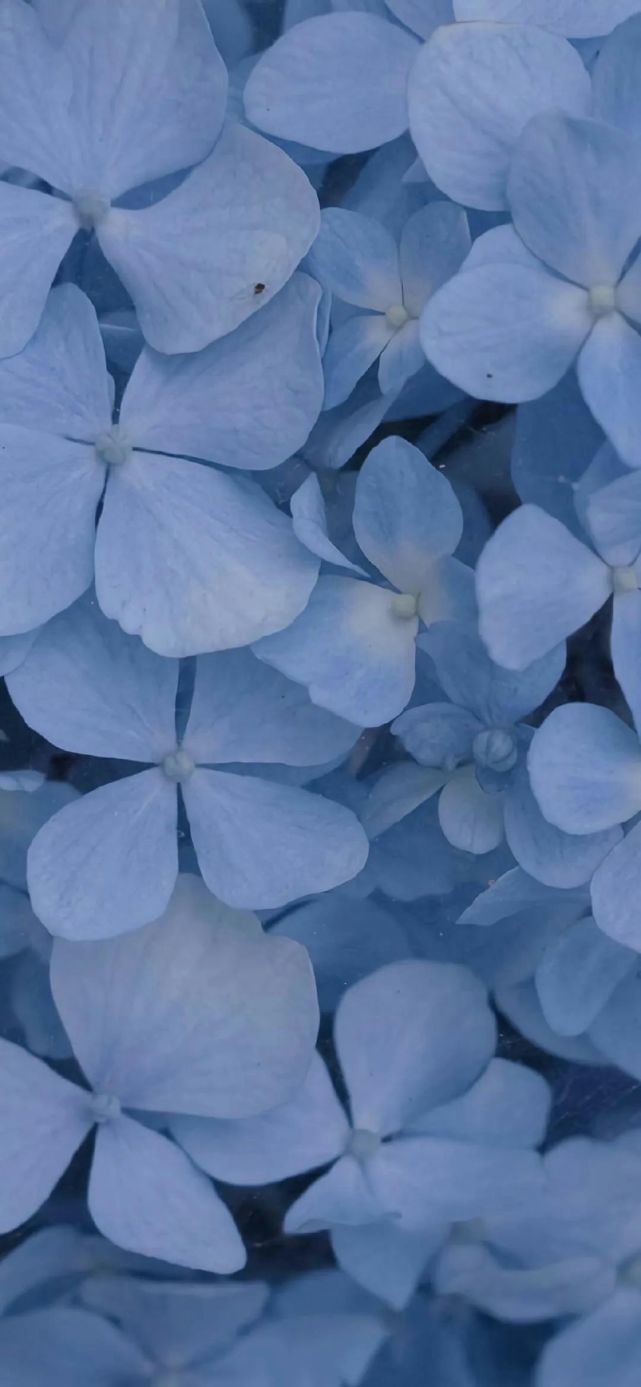 适用于qq极简模式经典蓝的背景图