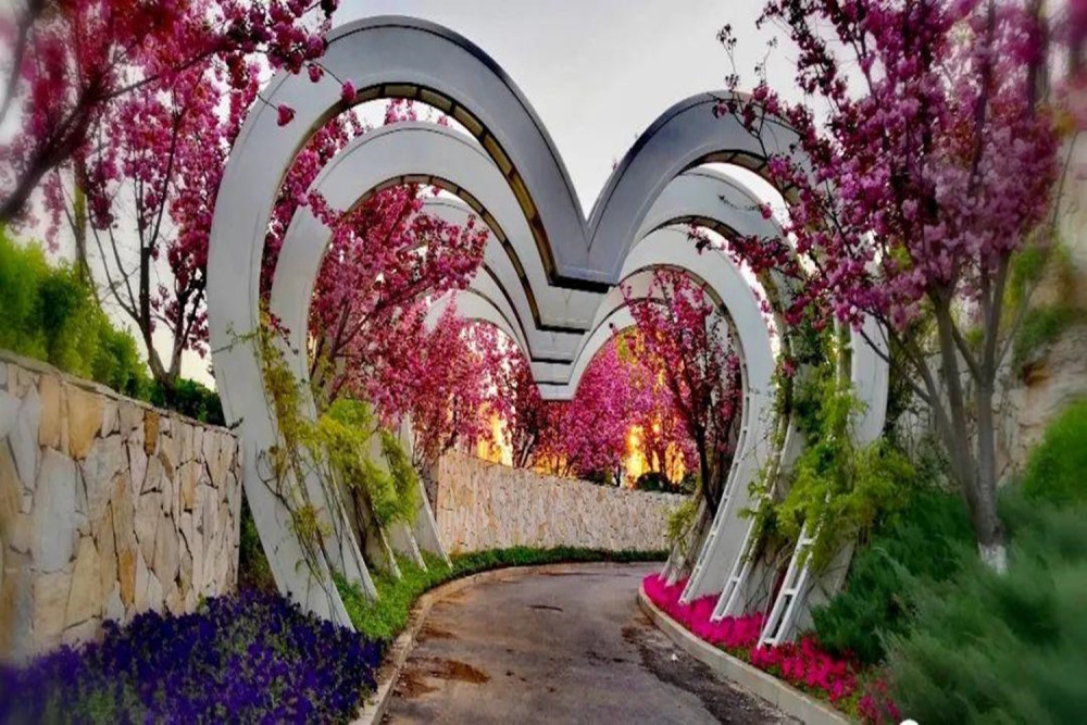 天津踏青赏花的四个好去处,可以拍美美的照片,春游不要错过了