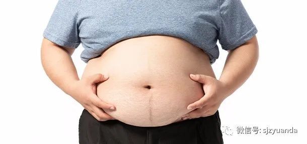 为什么有的人全身不胖 却肚子一捏都是肉 腾讯新闻