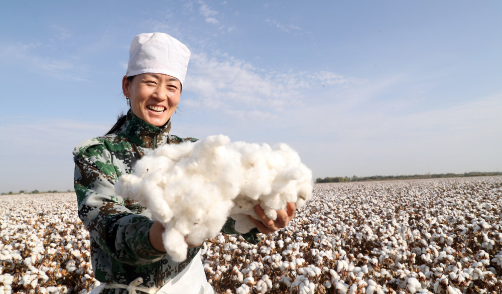 目前在新疆的纺织业直接或间接就容纳了近百万人的就业问题,伴随着