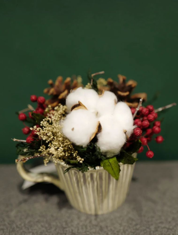 03浊者自浊,清者自清棉花来自大地的供养,好山好水的新疆,产出了高