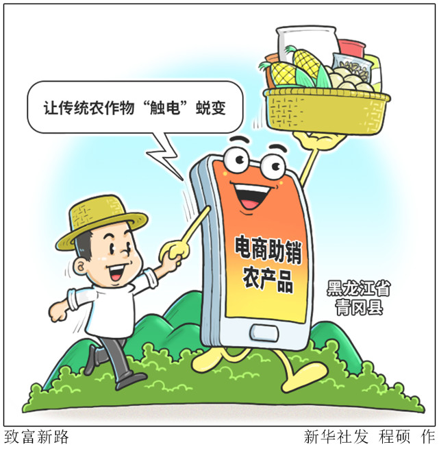 图表漫画经济致富新路1