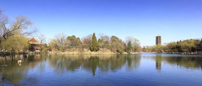 教授之问 为何中国顶级大学 仅1 10学生勉强过文字关 腾讯新闻