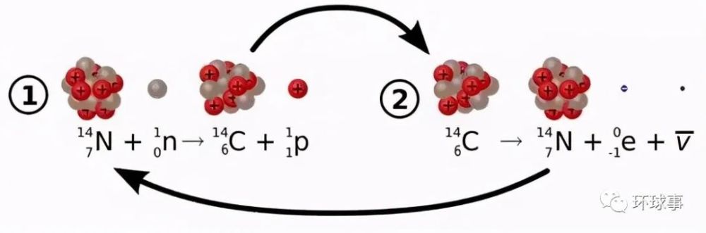 自然界中碳元素有三种同位素,即稳定同位素碳12,碳13和放射性同位素碳