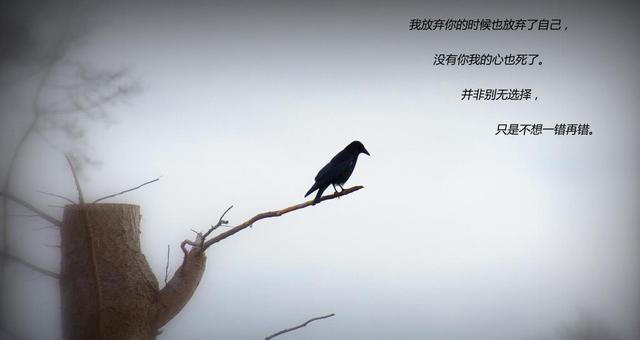 每个人都有失望无助的时候,那就读一读这些句子吧