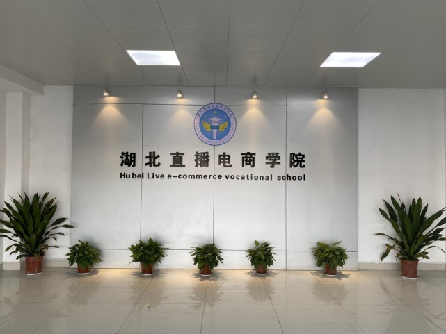 湖北直播电商学院线下培训基地