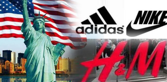 棉花事件幕后bci