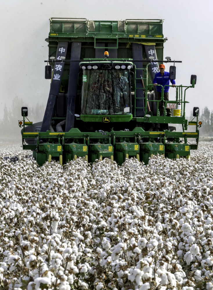 中国人的爱国主义情怀新疆棉花事件