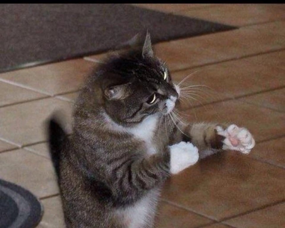 这时,我赶忙按下韩师傅那攥紧的拳头邀请他回到现实,并为他指明了出