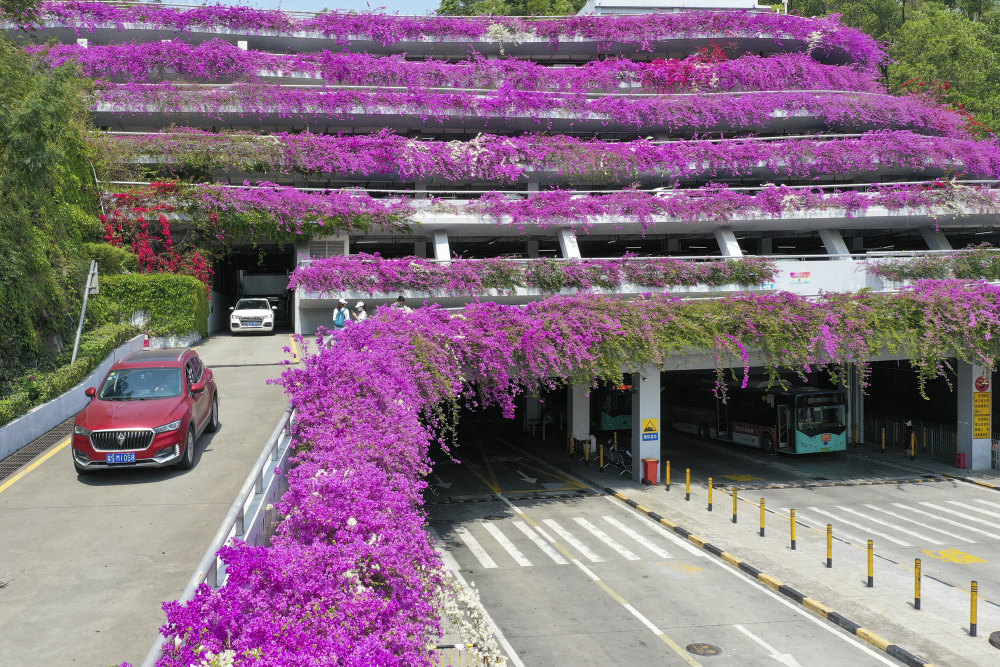看深圳最美停车场