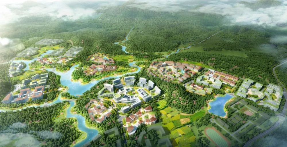 陵水致力打造"康养陵水"金名片 推进旅游等产业融合发展