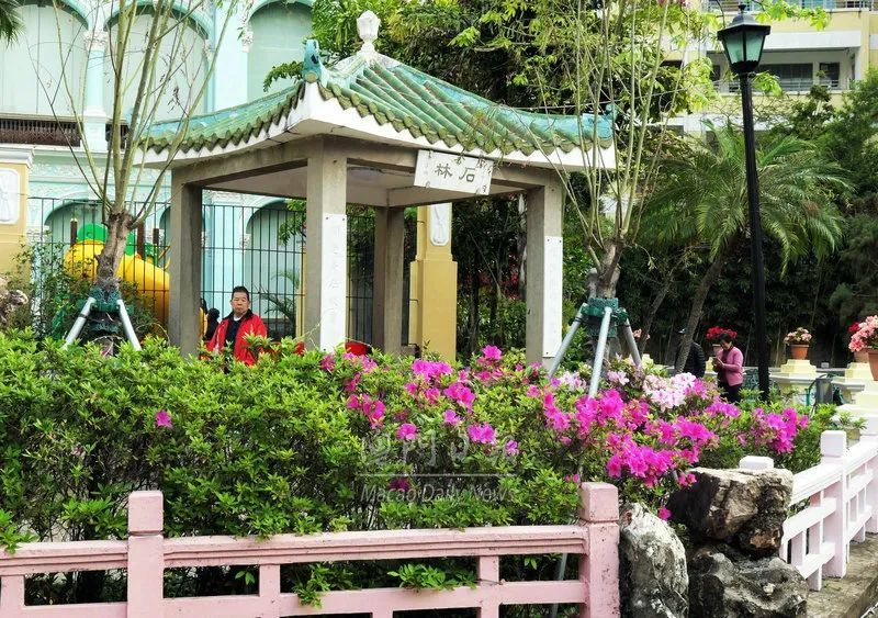 卢廉若公园春暖花开_腾讯新闻