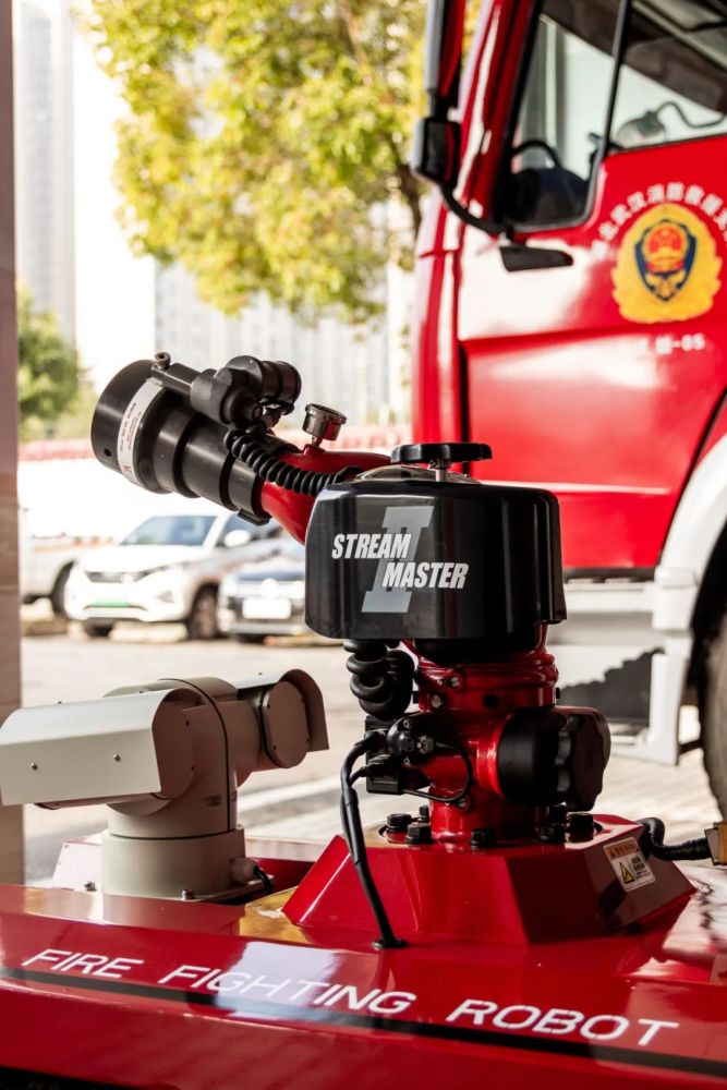 春日深入江夏密林 偶遇神秘的森林守护者 腾讯新闻