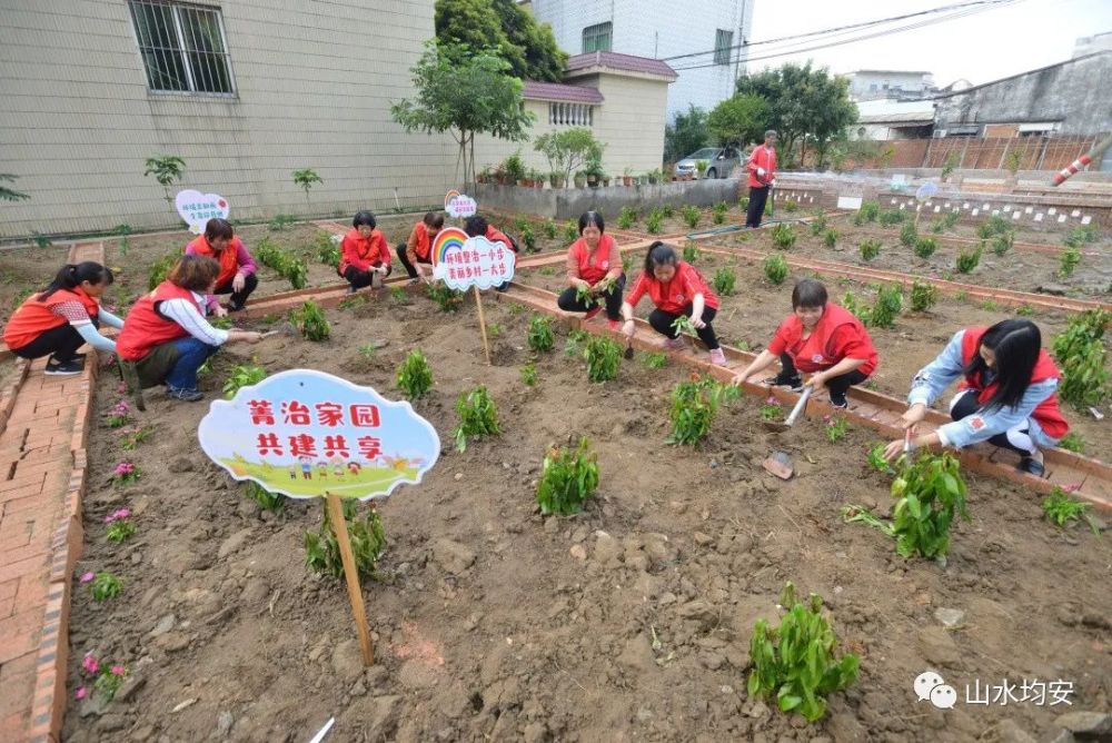 地制宜,選取了150處閒置地作為示範點重點打造,建好的小菜園公開競投