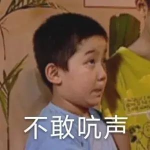 表情包不敢吭声