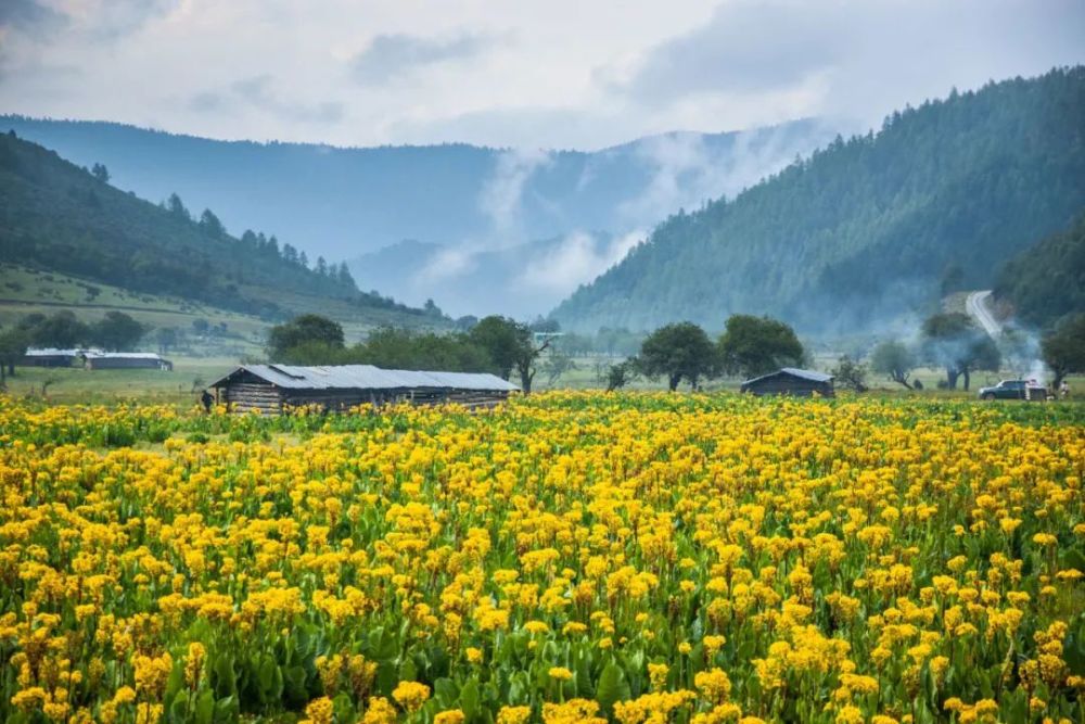 熱播劇《司藤》神仙取景,還原一個奇幻雲南!_騰訊新聞