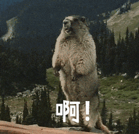 这么说吧,连教材都是外交使团访华时捎来的|专业|斯瓦西里语|上海外国