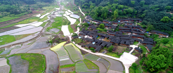 春日到访茶园山村,来一场"黔东第一文化古村"深度游